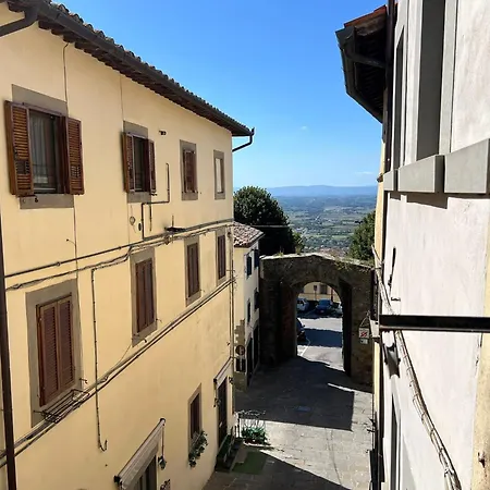 Guelfa 60